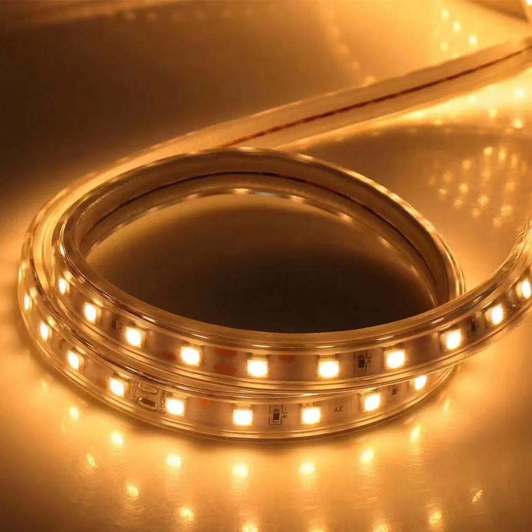 Decoration Anti UV IP65 RGB LED Flexible Strip Light