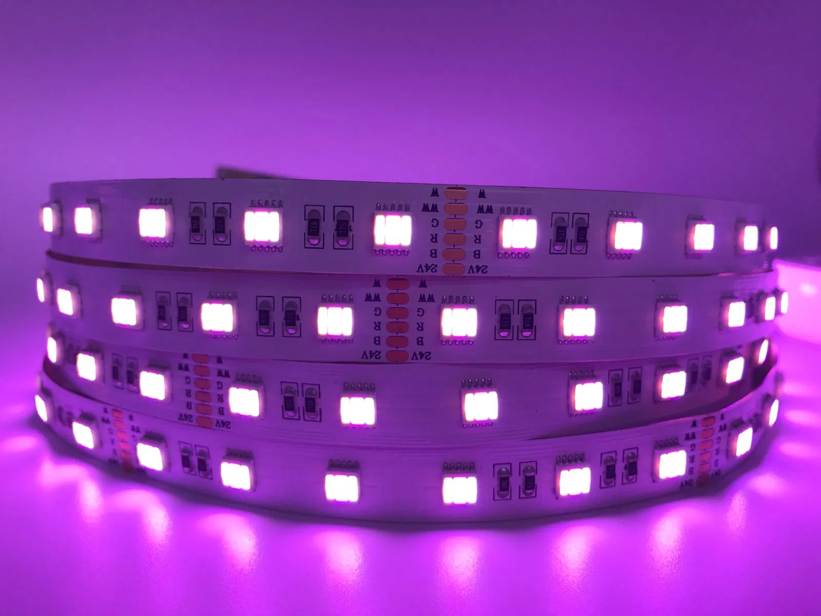 Full-Color Tunable White LED Strip Light SMD5050, 24V, High-Output