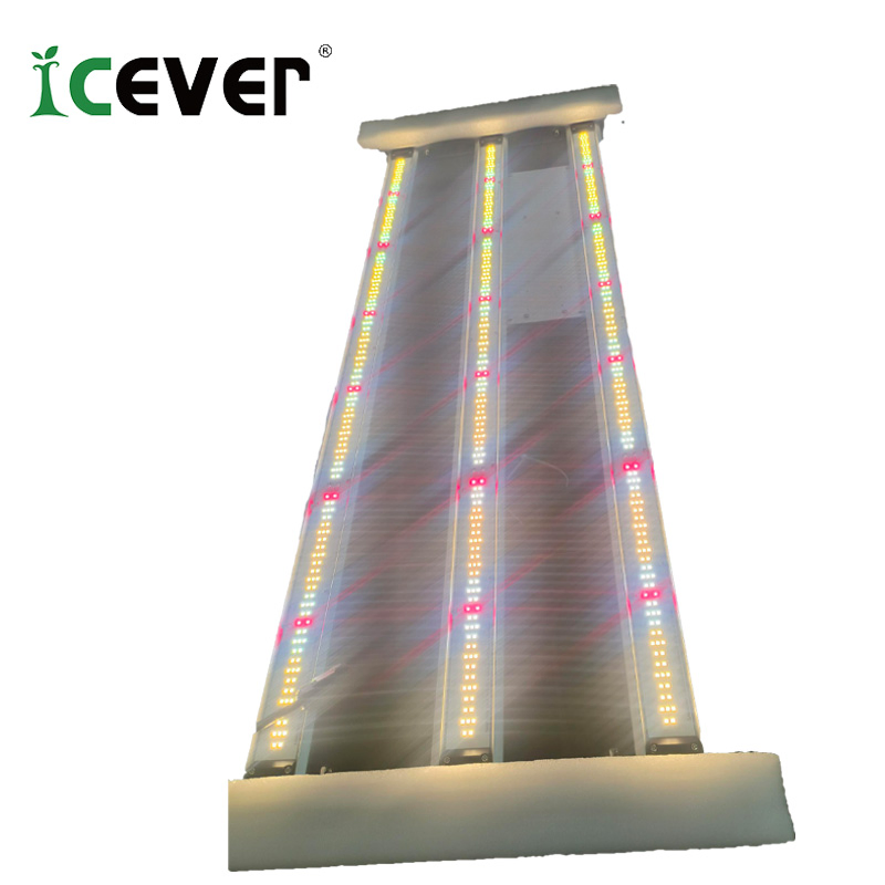 LED Plant 600 Watt V3 Grow Light Foldable 4X4 Grow Lights (EMC)