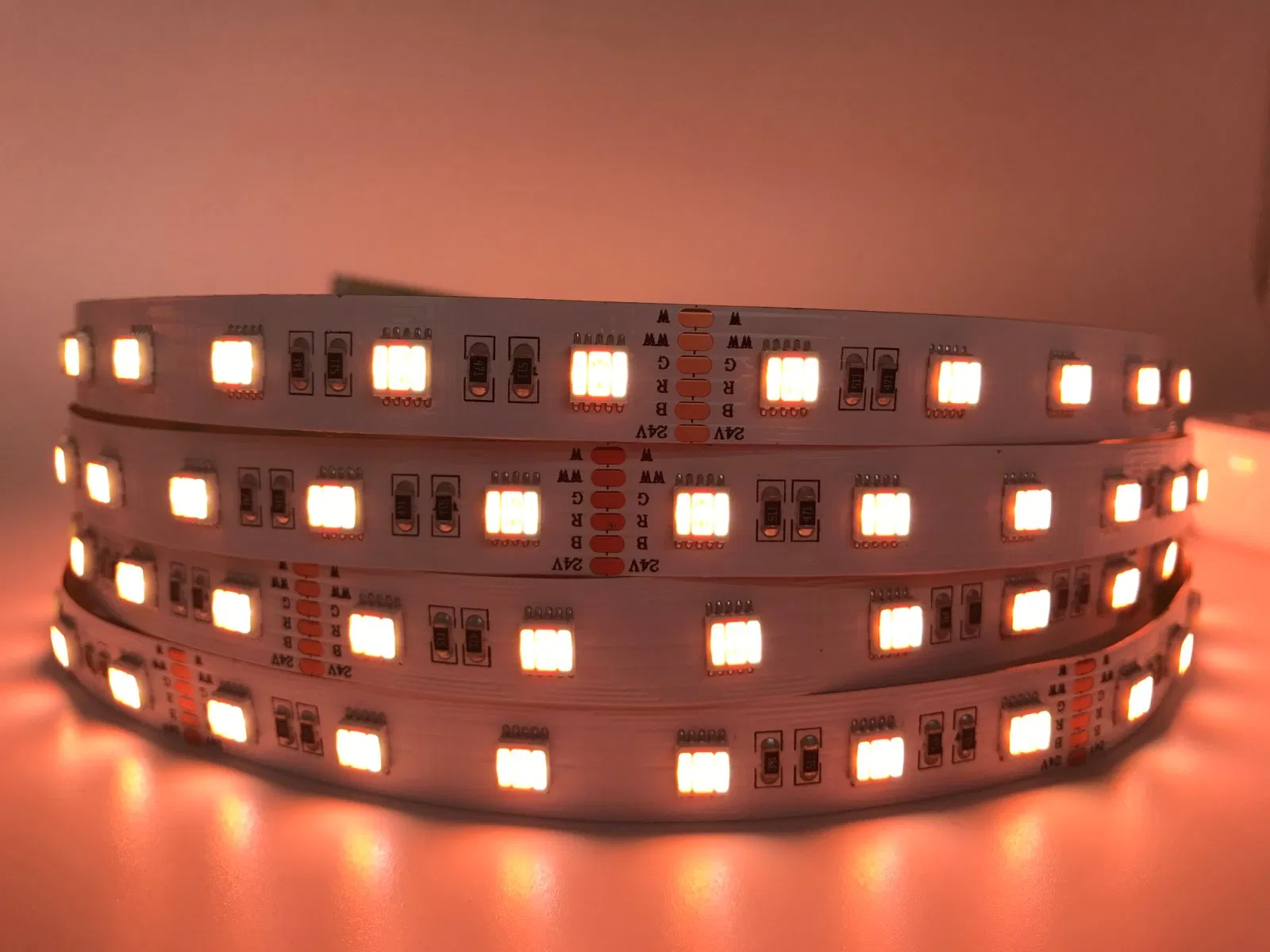 Full-Color Tunable White LED Strip Light SMD5050, 24V, High-Output