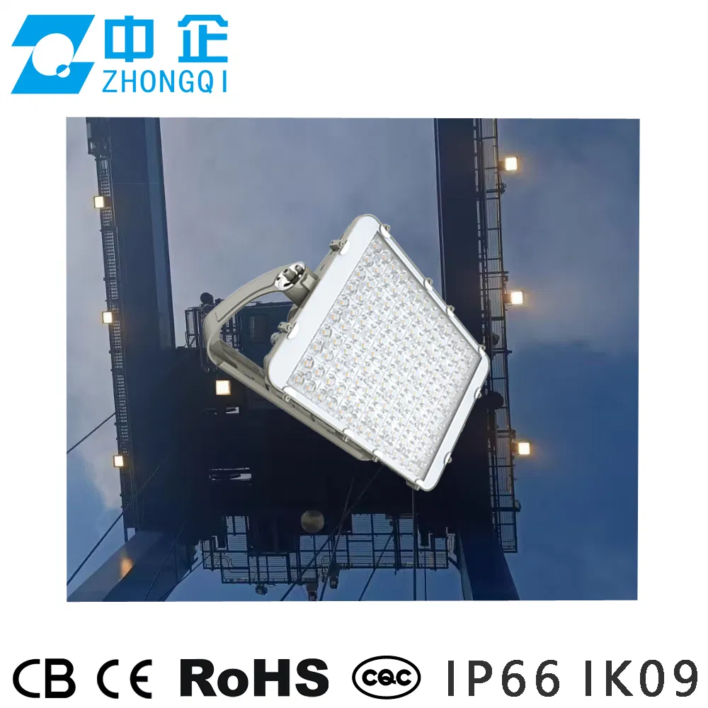 Reliable 300W Marine LED Floodlight SS316 Stainless Body IP66 Ik09 5g Vibration Test Offshore Corrosion Resistant Light