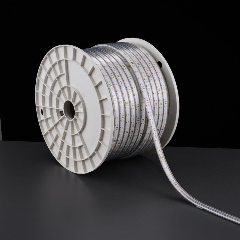 220V 120d 12mm SMD2835 Double-Row LED Rope Light Strip Light