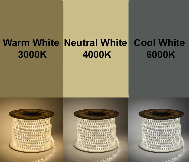 LED Strip Light Display 1