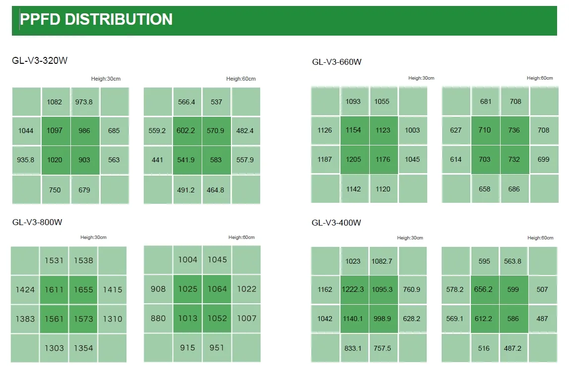 Spectrum Performance