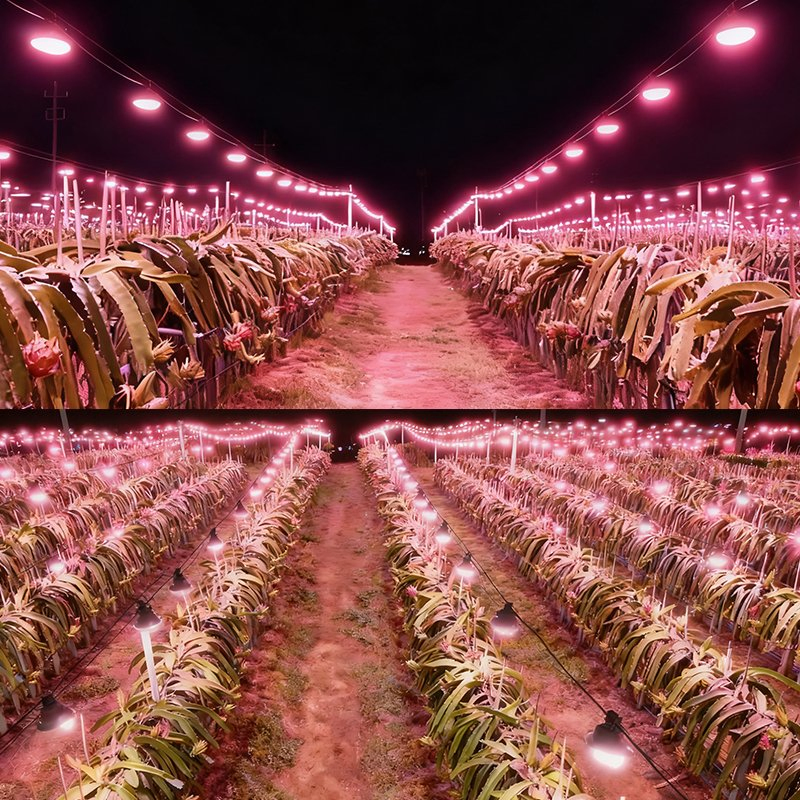 E27 String LED Grow Light Bulb Outdoor Plant Growth Spectrum Flood Light for Fruit Plant Growing