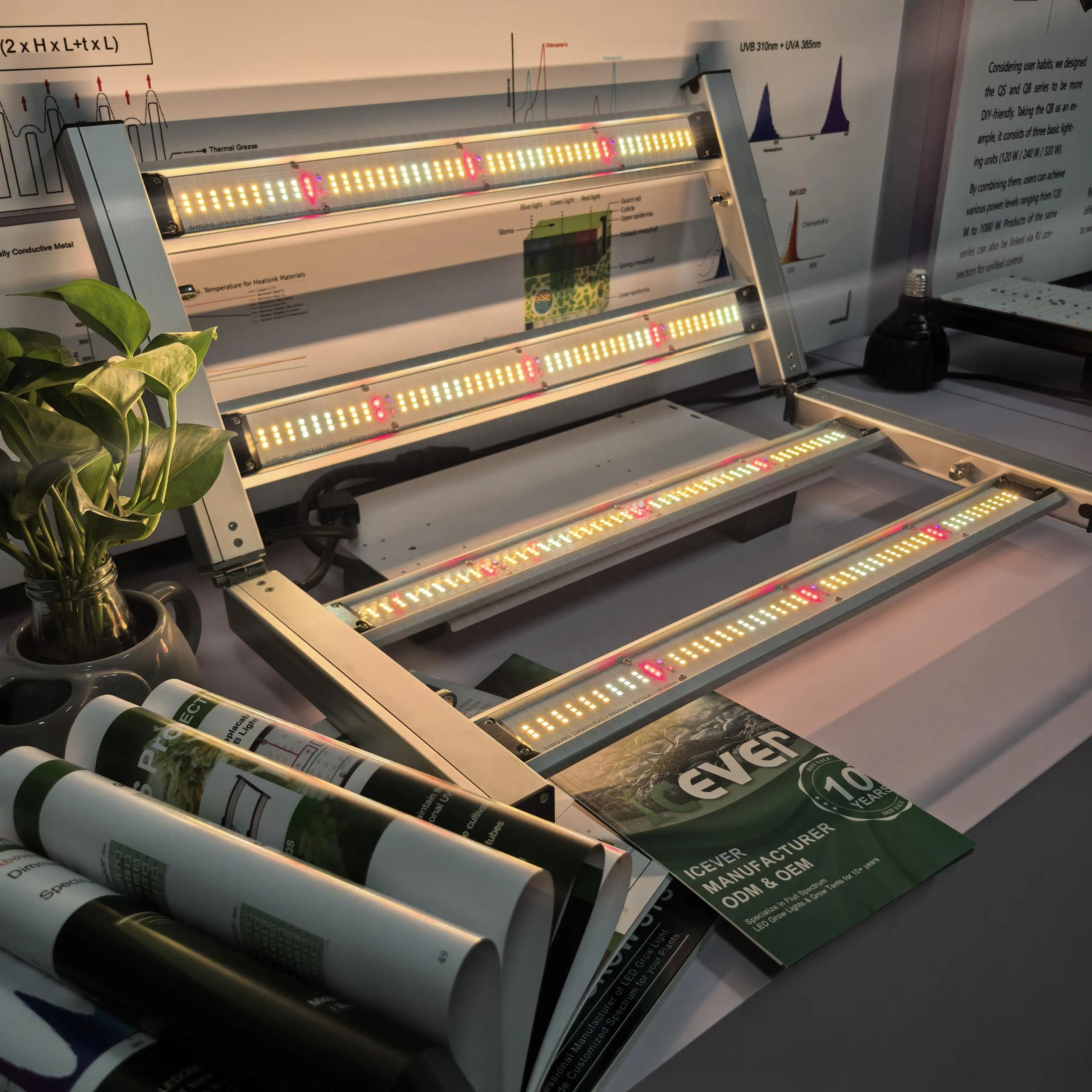 Mmj Indoor LED Plant Grow Light 1000 Watt LED Grow Lights (CE)