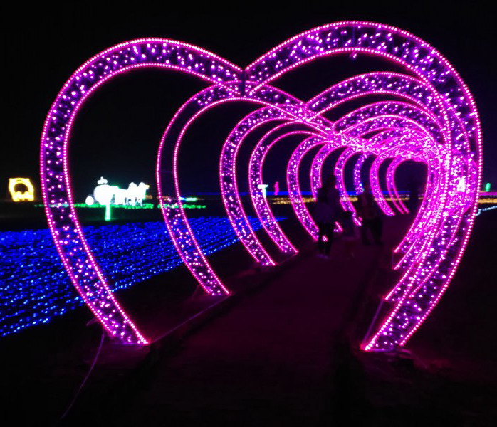 LED Christmas Rope Decoration Lights for Square Shopping Mall