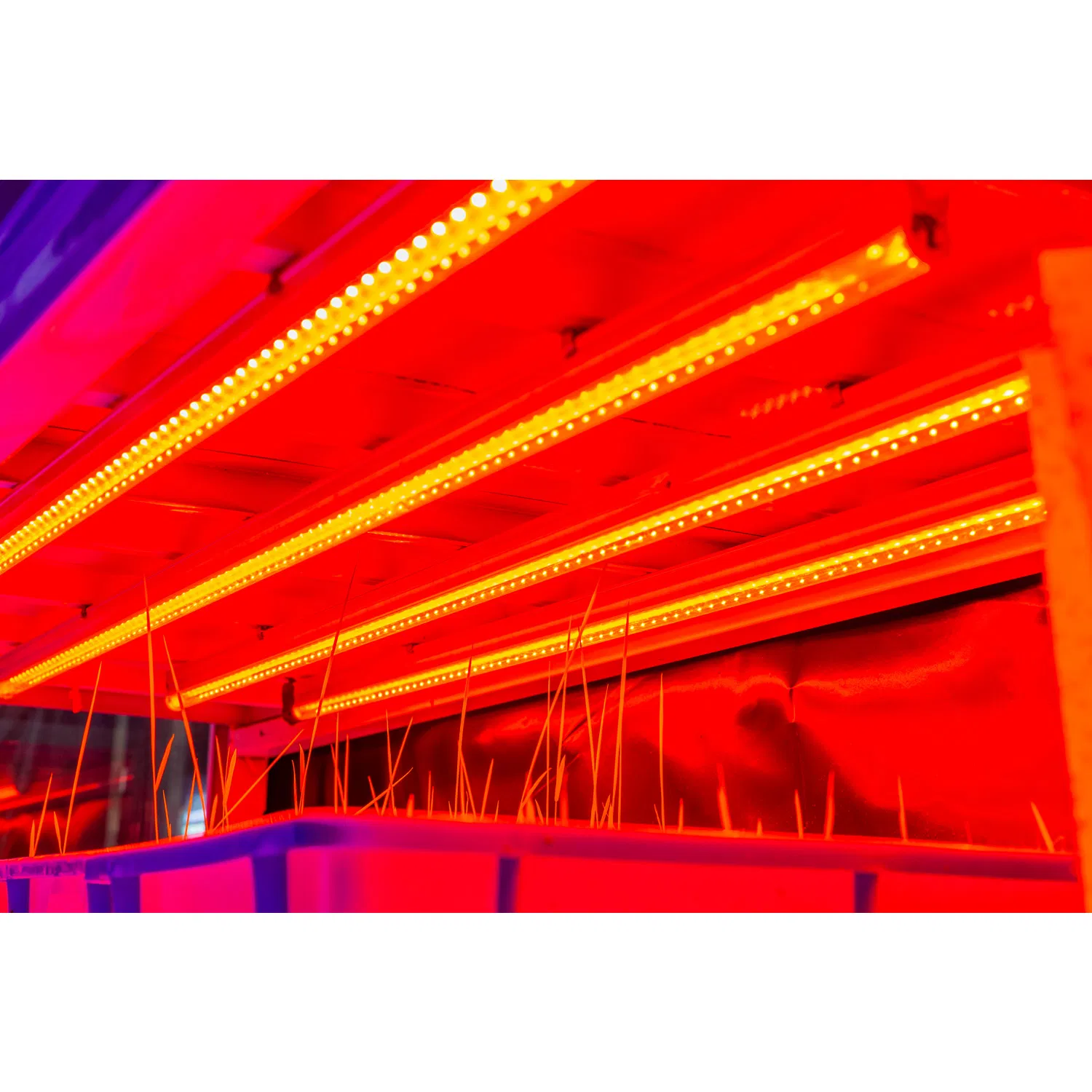 Agricultural High Power LED Grow Light Plant Tube Growth Lamp LED Full-Spectrum Imitation Sun for Indoor Farm Greenhouse Plant Growing Flower Lighting Coloring