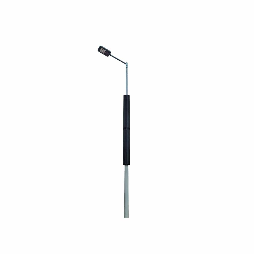30W Anti-Dust LED Solar Pole Street Light with Vertical Solar Tube Maintenance Free for Middle East