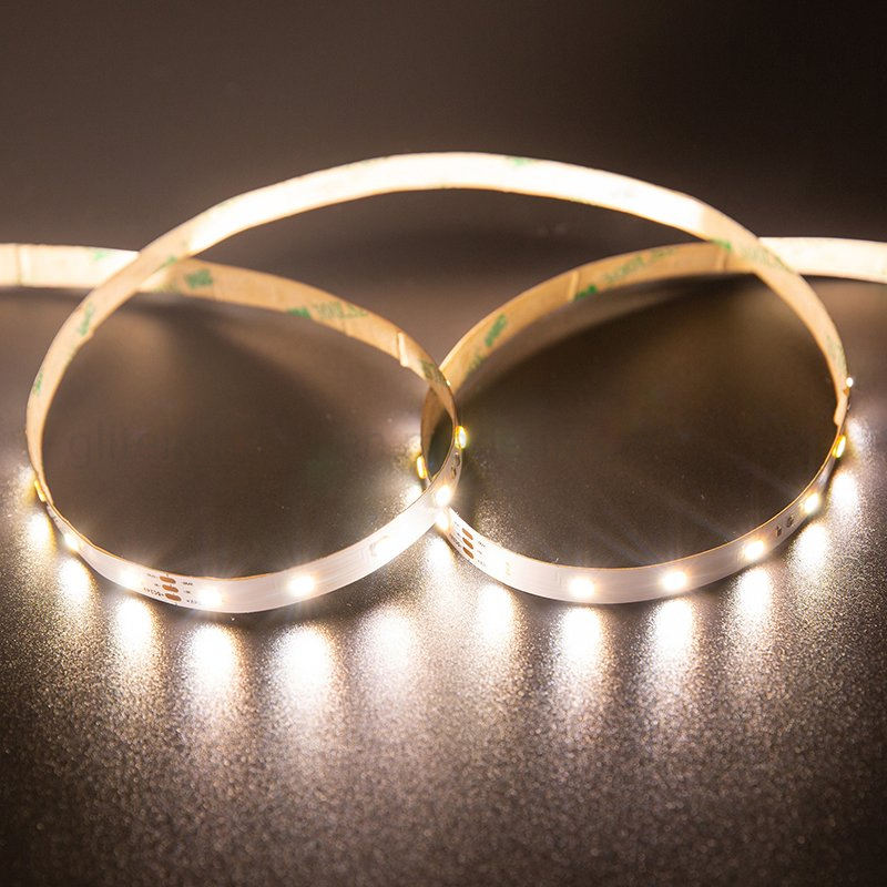 Dimmable Flexible LED Rope Light with Dual Color Temperature