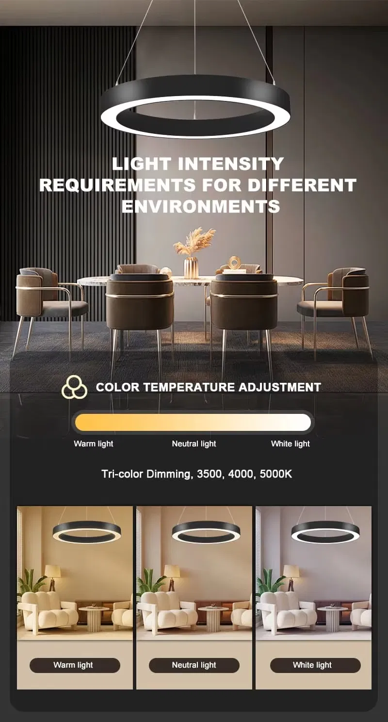 Modern LED Pendant Light 7