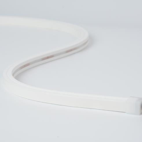 Neon Lighting 12V 24V Waterproof Flex LED Neon Rope Strip Light