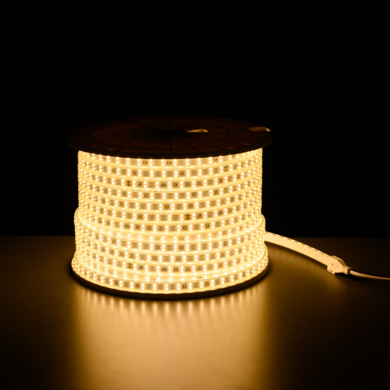 220V 120d 12mm SMD2835 Double-Row LED Rope Light Strip Light