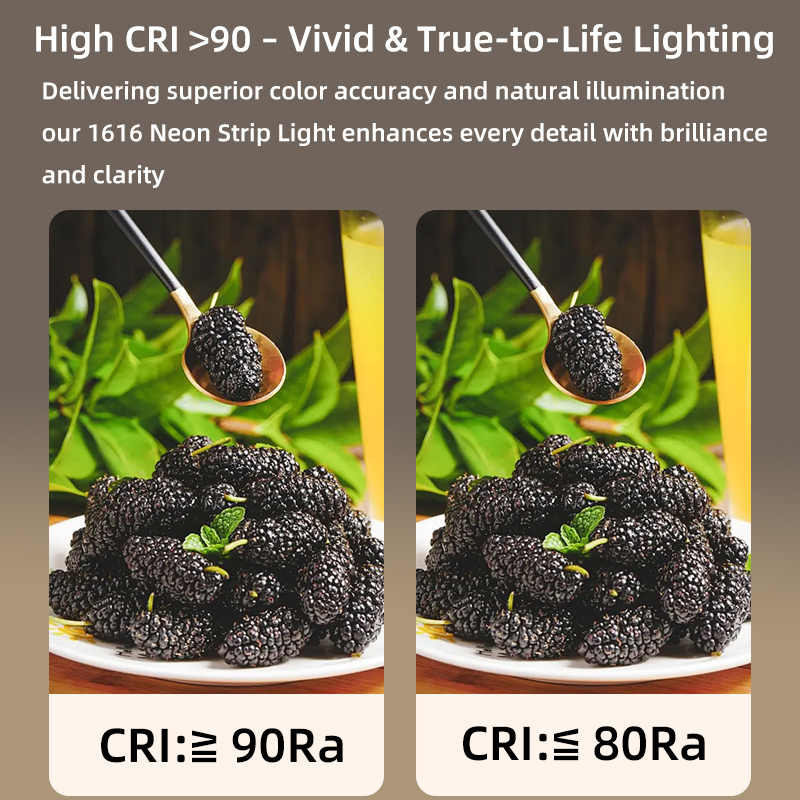 OEM &amp; ODM Silicone Led Neon Flex Strip Light 24V 1010 1212 1616mm Ip67 Waterproof Outdoor Indoor Neon Rope Light For Wall, Ceiling, Garden, Building, Landscape