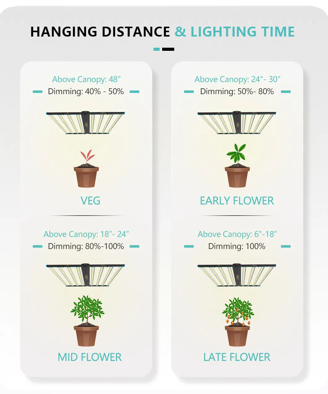 Hydroponic Growing System 3