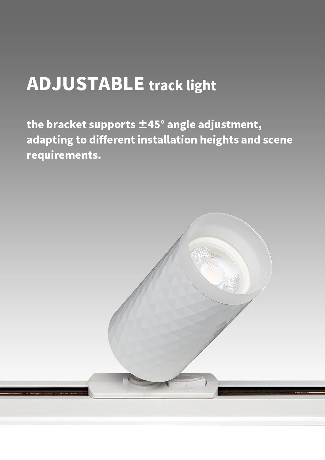 LED Track Light 2