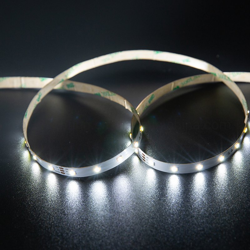 Dimmable Flexible LED Rope Light with Dual Color Temperature