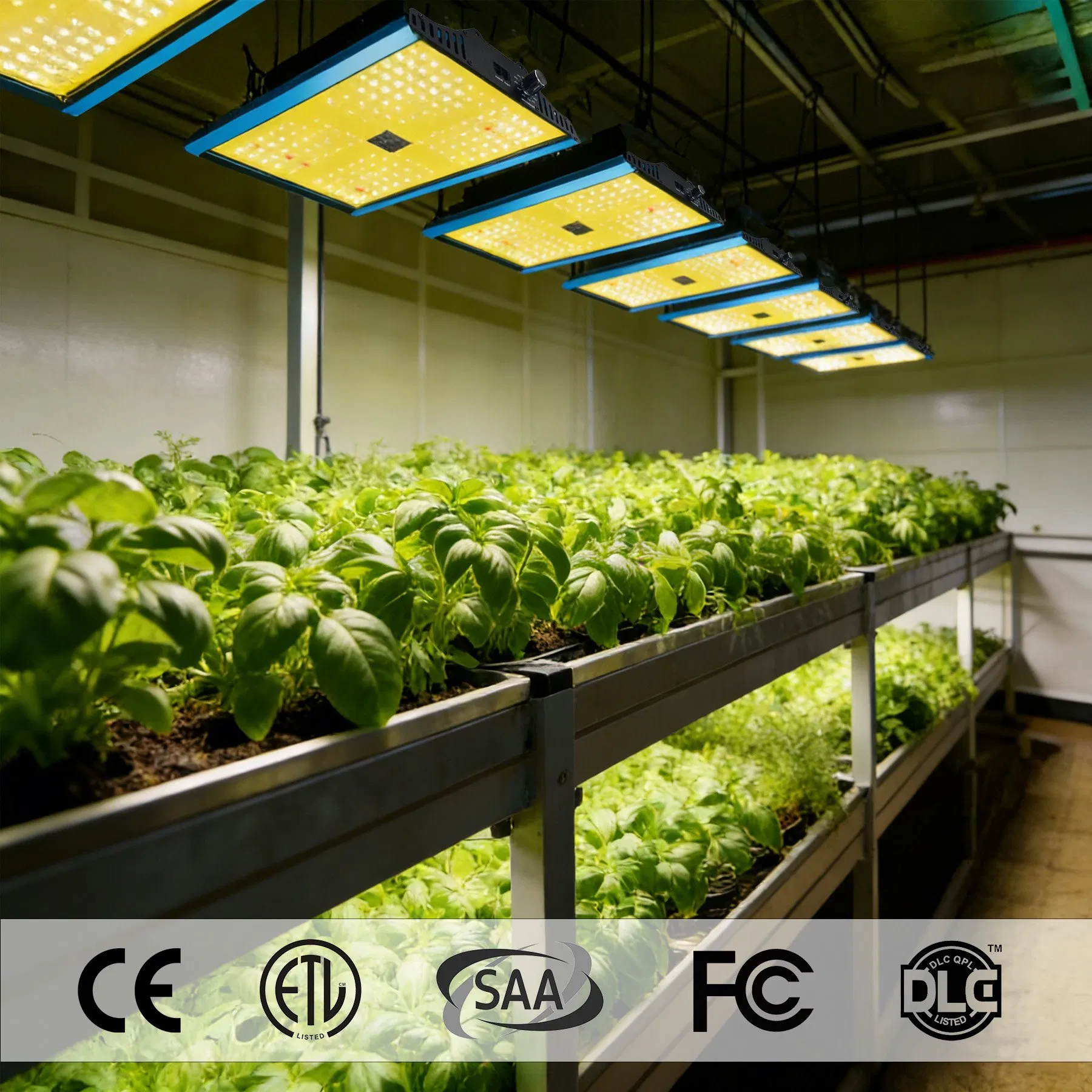 100W 240W 480W, IP65 2.8 μMol/J High Efficiency Dimming + Rj14 Quantum LED Grow Light for Greenhouse &amp; Hydroponics