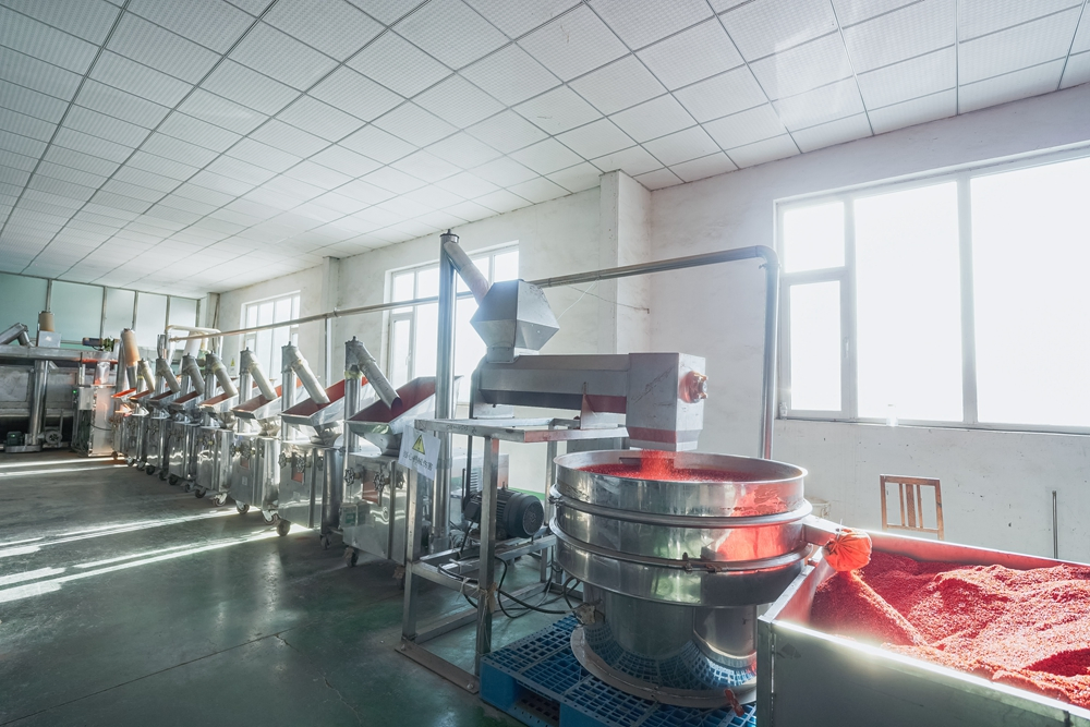 Premium Quality Spice of Garlic Cloves in Brine with Attractive Price