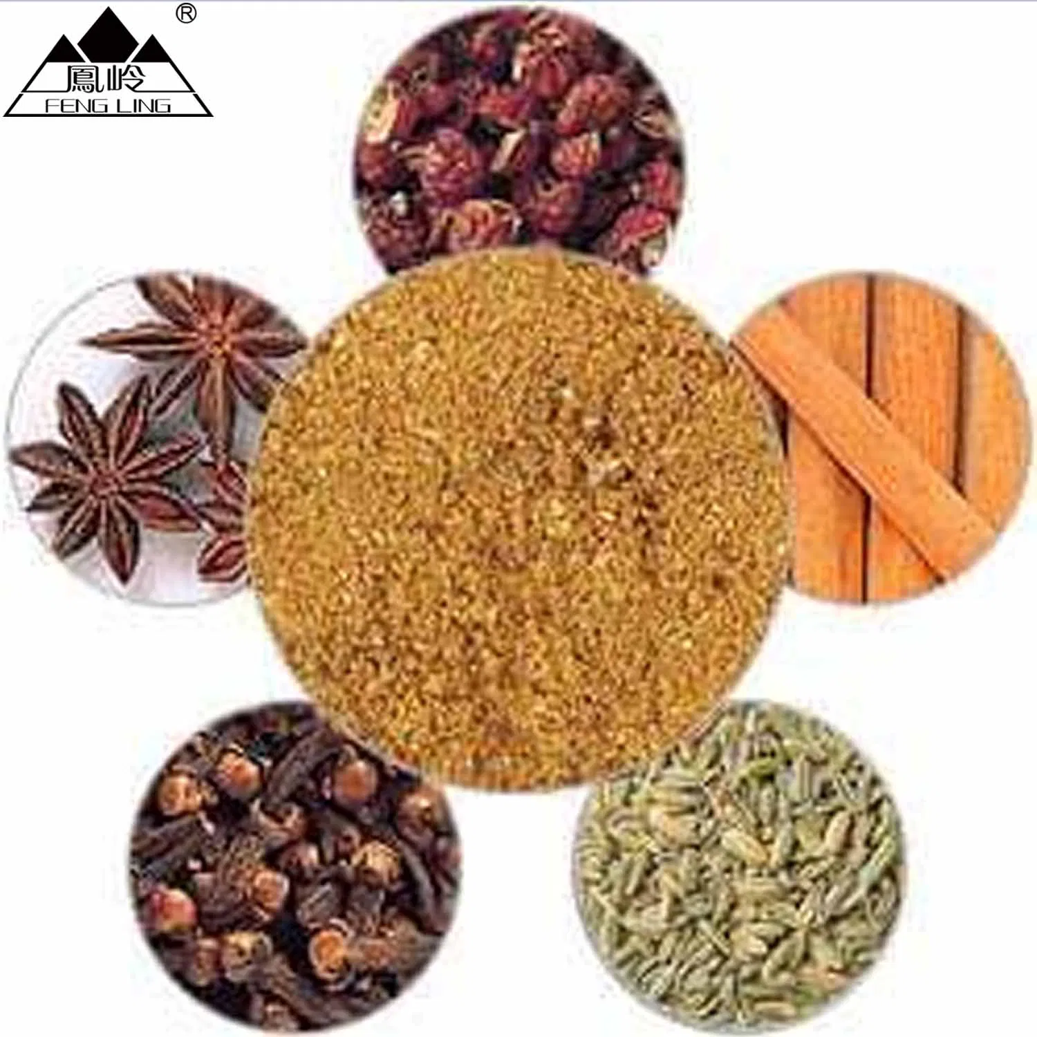 Traditional Taste Five-Spice Powder Cinnamon Powder Black Pepper Crushed White Pepper Powder, Aniseed Powder Premium Spice Mix Wholesales Spices