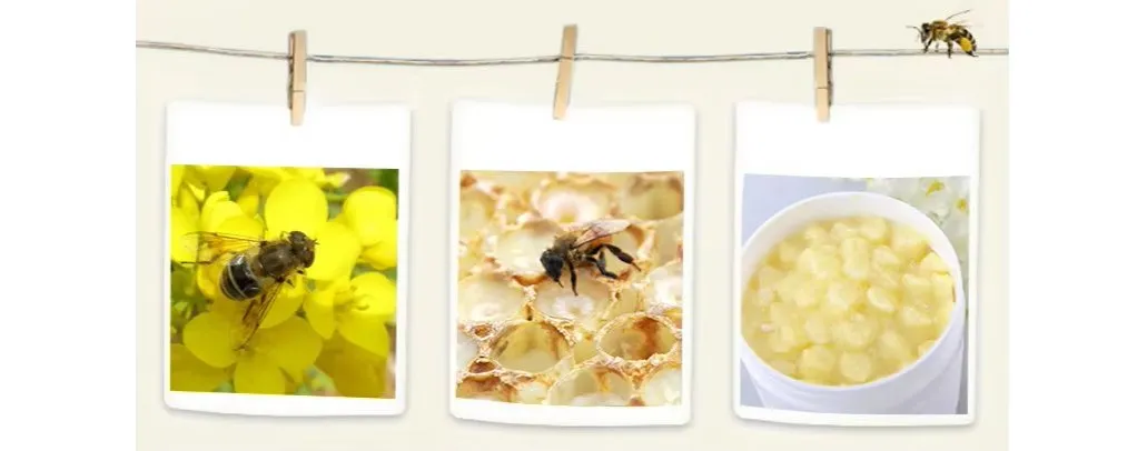 Pure Natural Royal Jelly