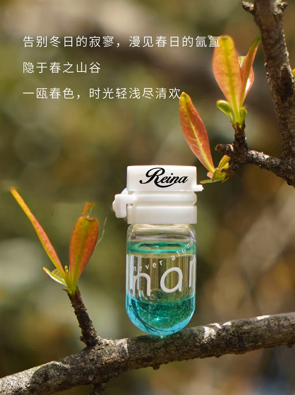 Beauty Hair Oil Vitamin E Plant Olive Massage Oil