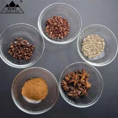 Chinese Traditional Seasoning Five Spice Powder/High Quality Five Spice Powder Supplier