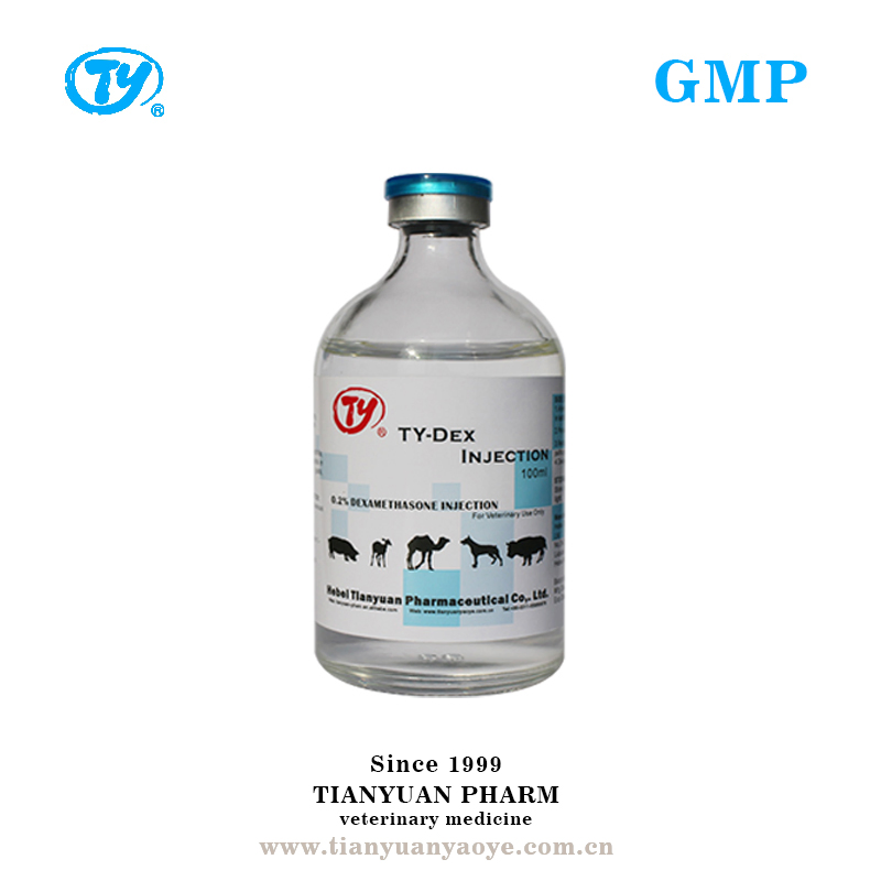 Dexamethasone Injection Veterinary Medicine for Animals