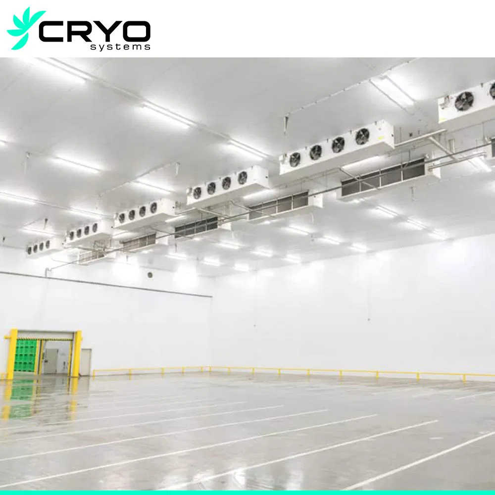 Supplier for Custom Combined Flowers Glass Door Display Standard Refrigeration PU Storage Cold Rooms