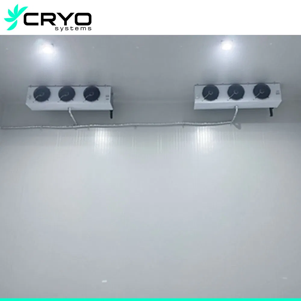 Supplier for Custom Combined Flowers Glass Door Display Standard Refrigeration PU Storage Cold Rooms