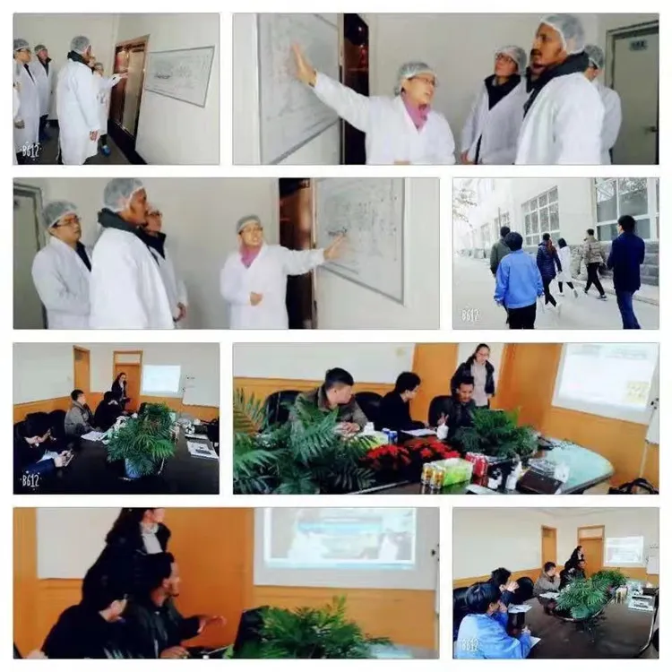 Oxytetracycline Injection 2