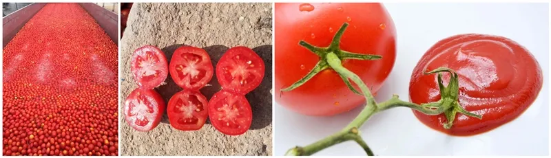 Tomato Paste Texture