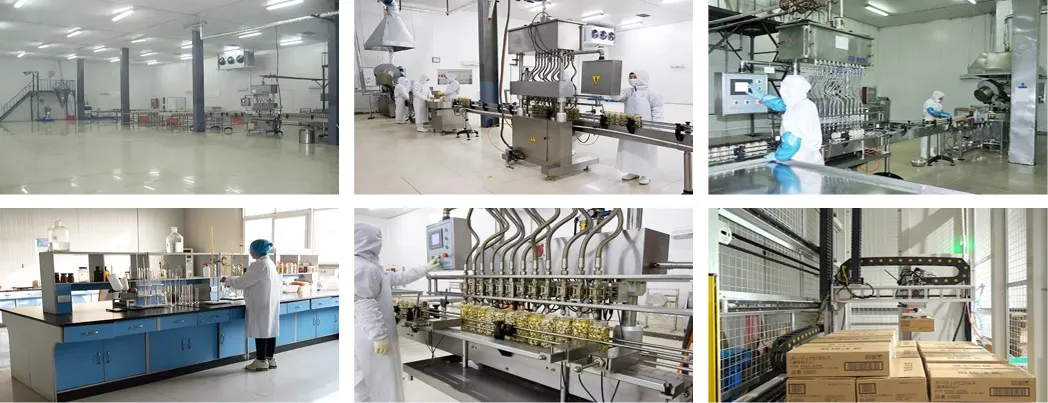 Awards and Recognition