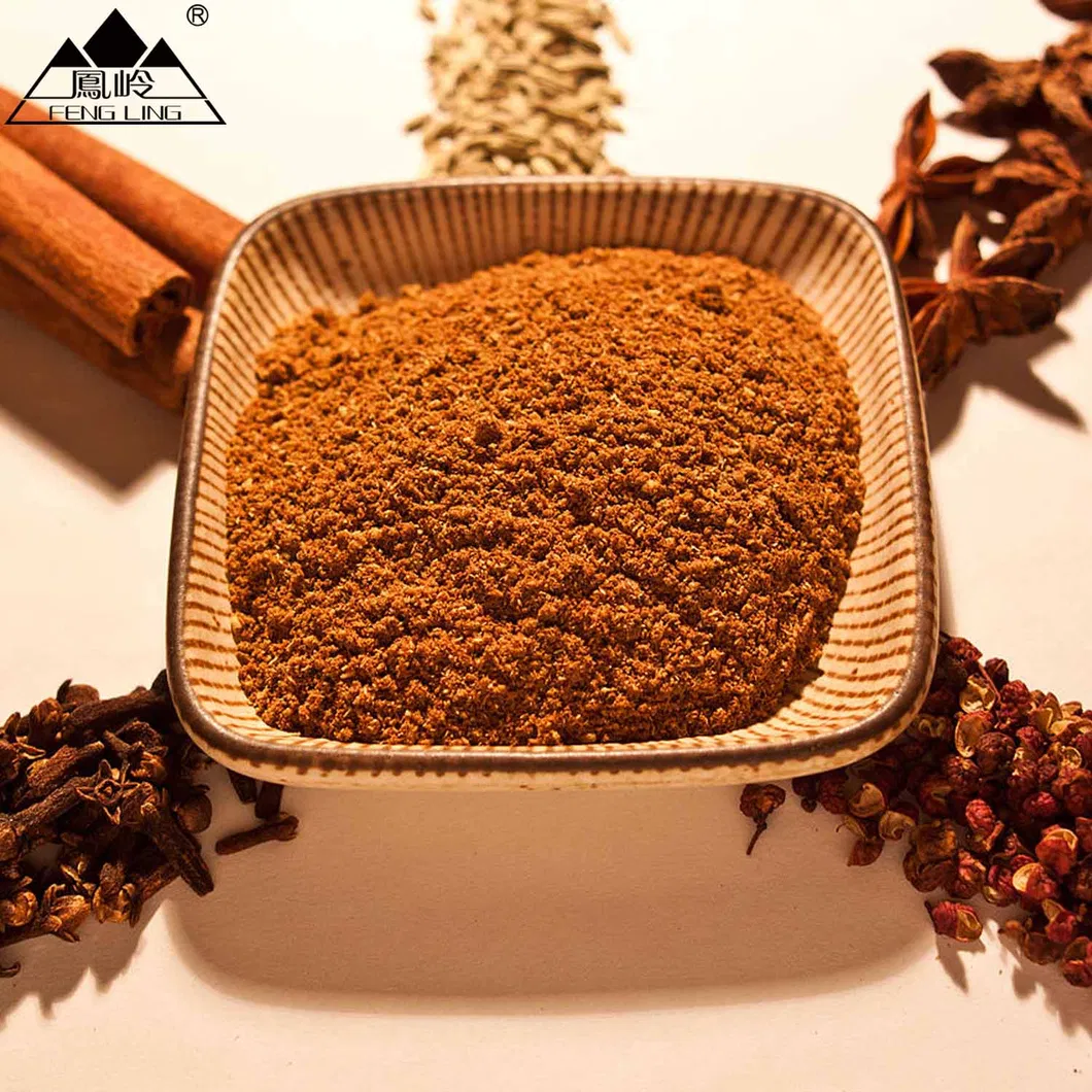 Five Spice Powder Detail