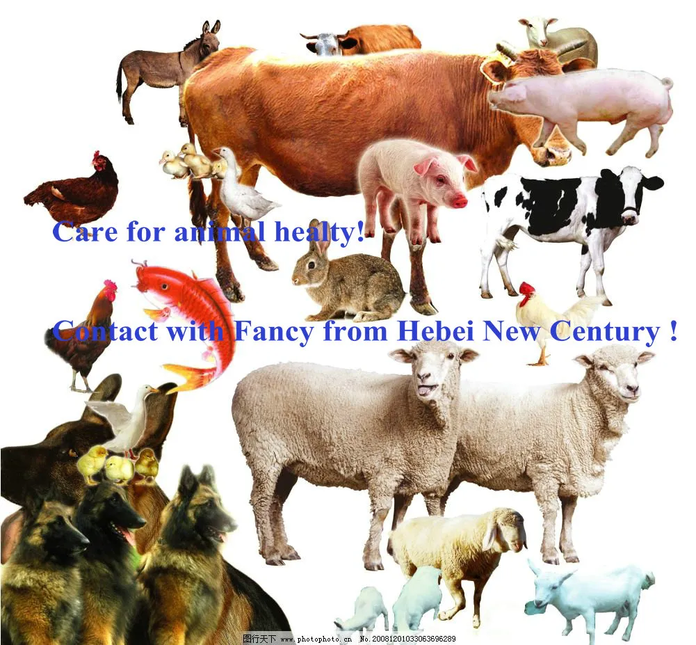 Animal Health Medicine