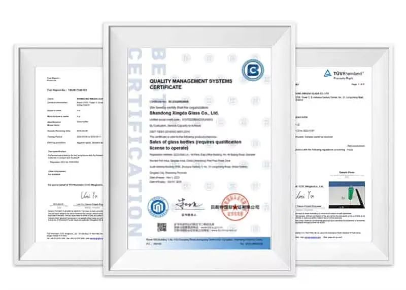 Glass Juice Bottle 10