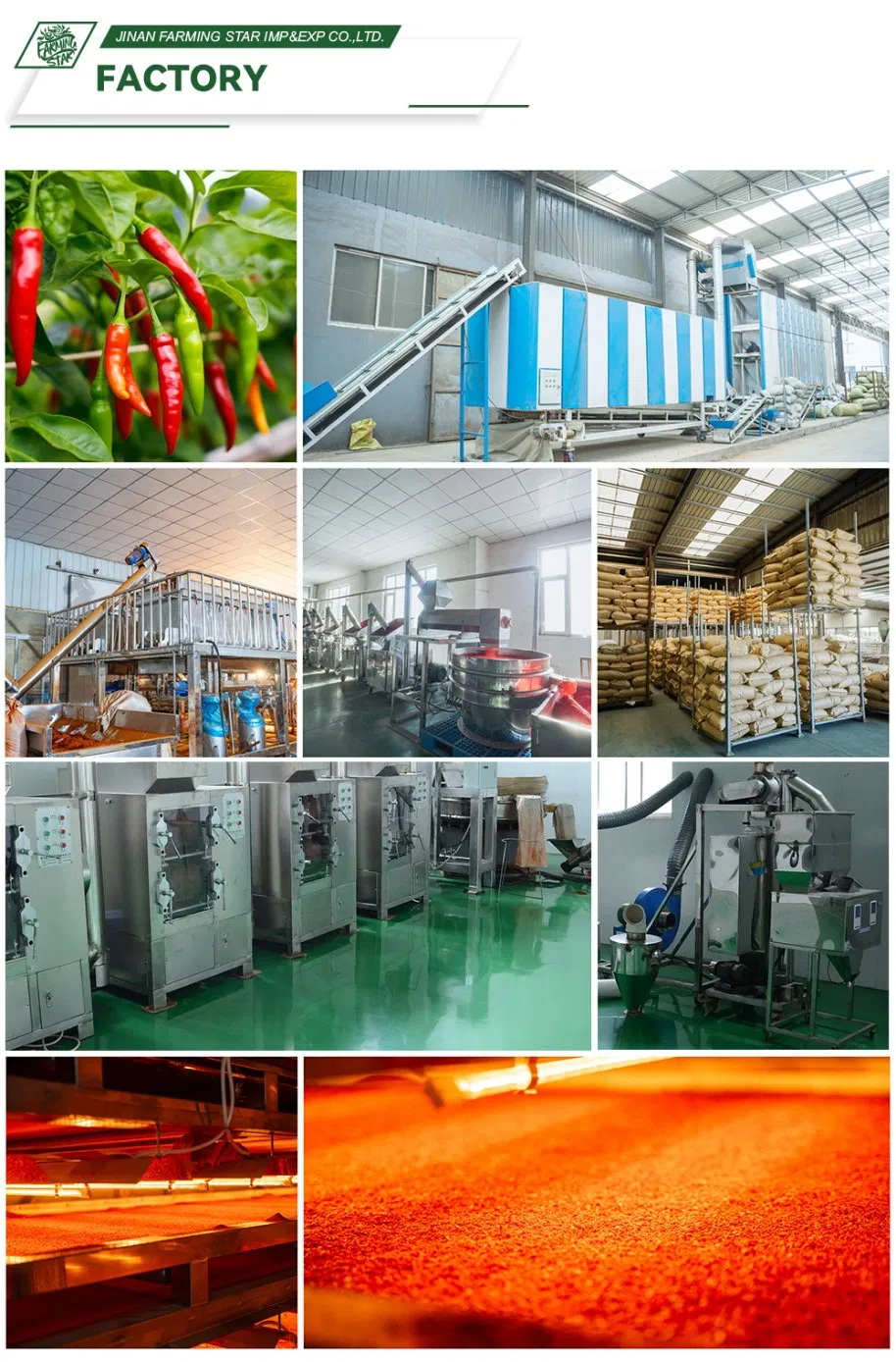 Garlic Cloves in Brine Detail 4