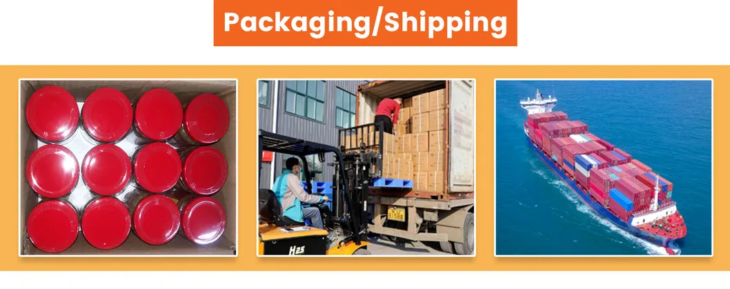 Logistics Information