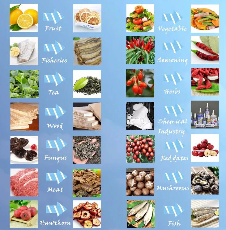 Suitable for Drying Food and Medicine in Baking Oven