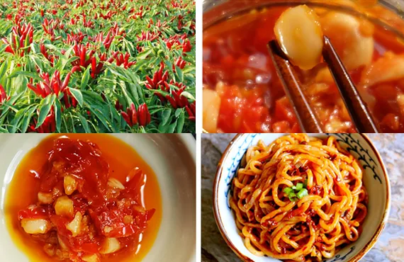 238g Garlic Chili Sauce in Glass Bottle