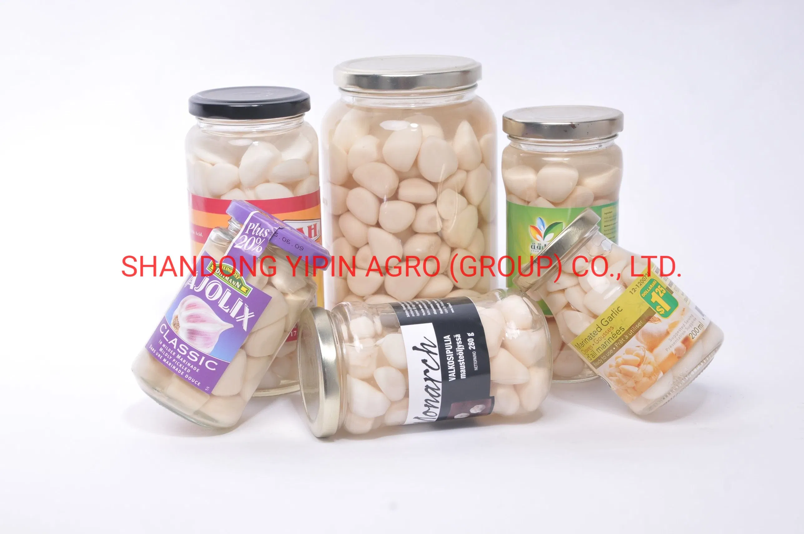 Canned Garlic Cloves Pickled Garlic in Brine