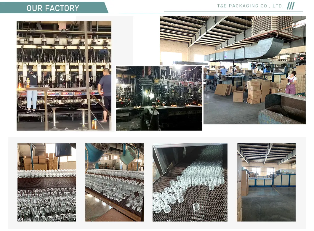 Our Factory