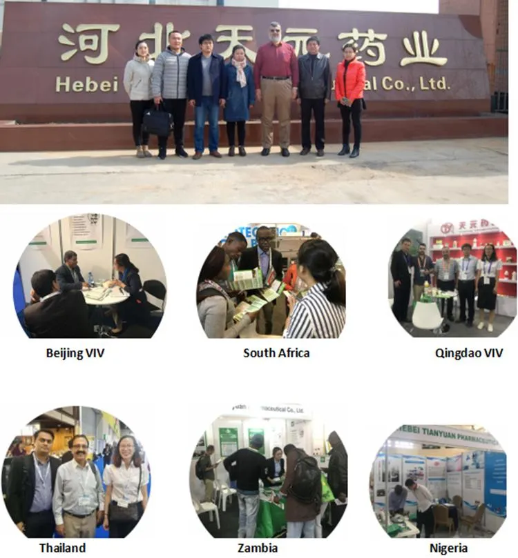 Oxytetracycline Injection