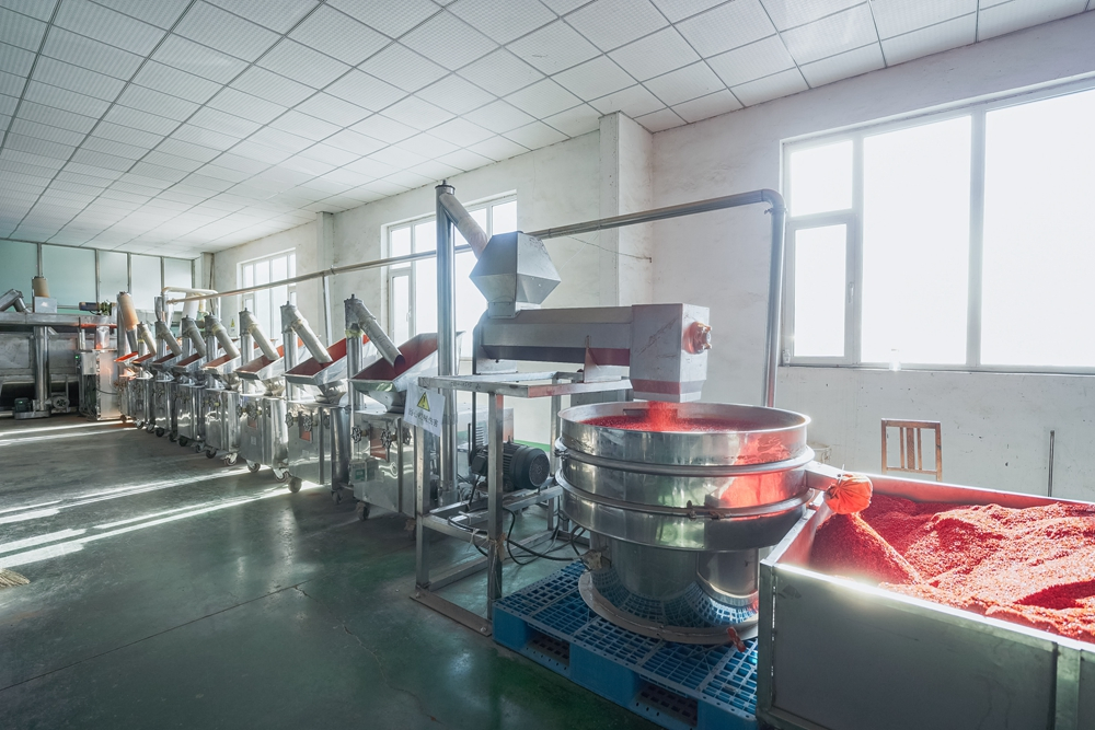 Premium Quality Spice of Garlic Cloves in Brine with Attractive Price