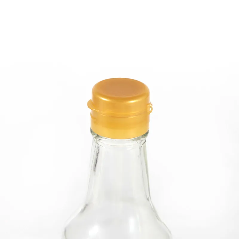 Soy Sauce Glass Bottle 2