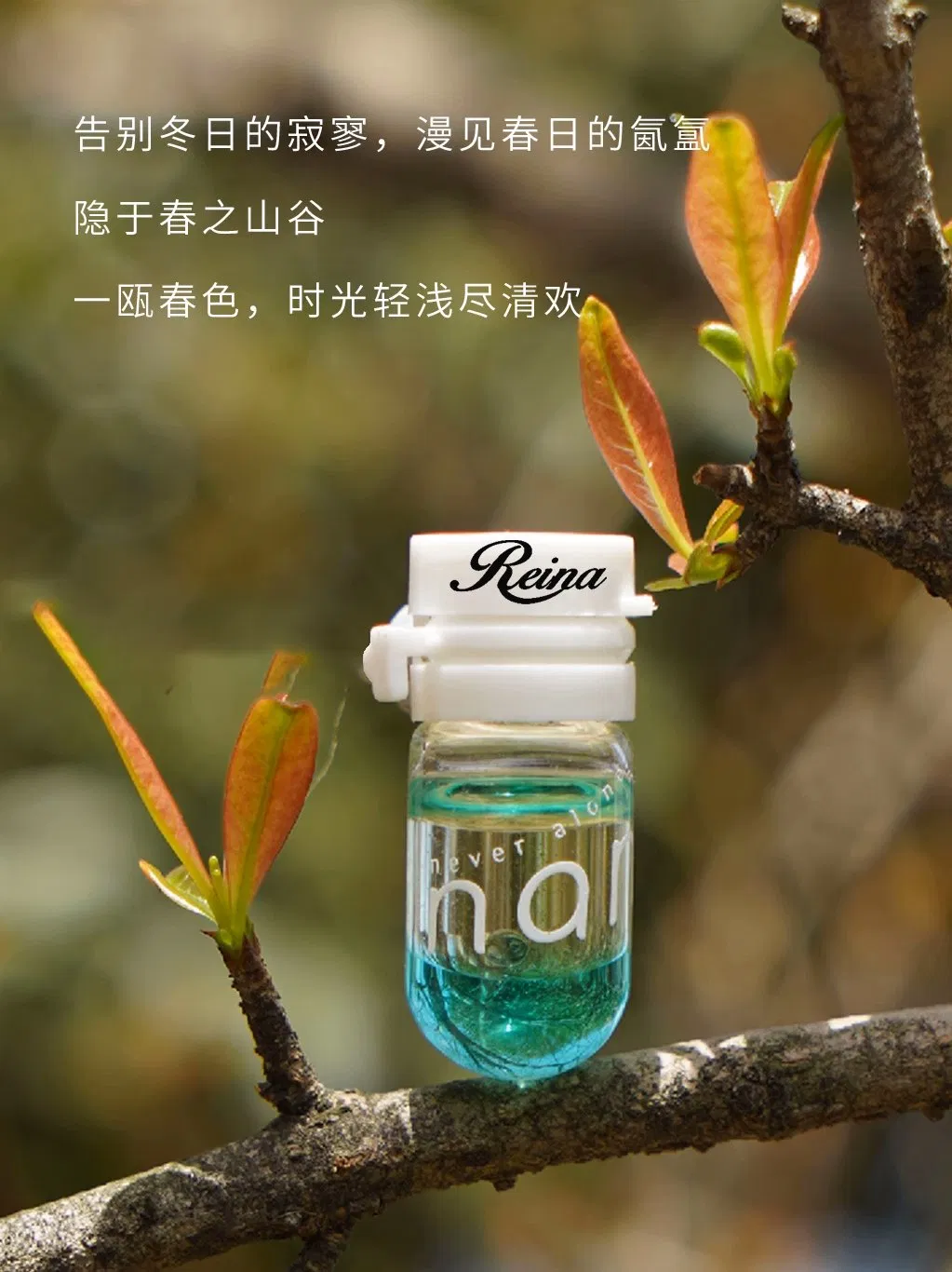 OEM ODM Hot Sale Hot Selling Beauty Hair Oil Vitamin E Plant Olive Massage Oil