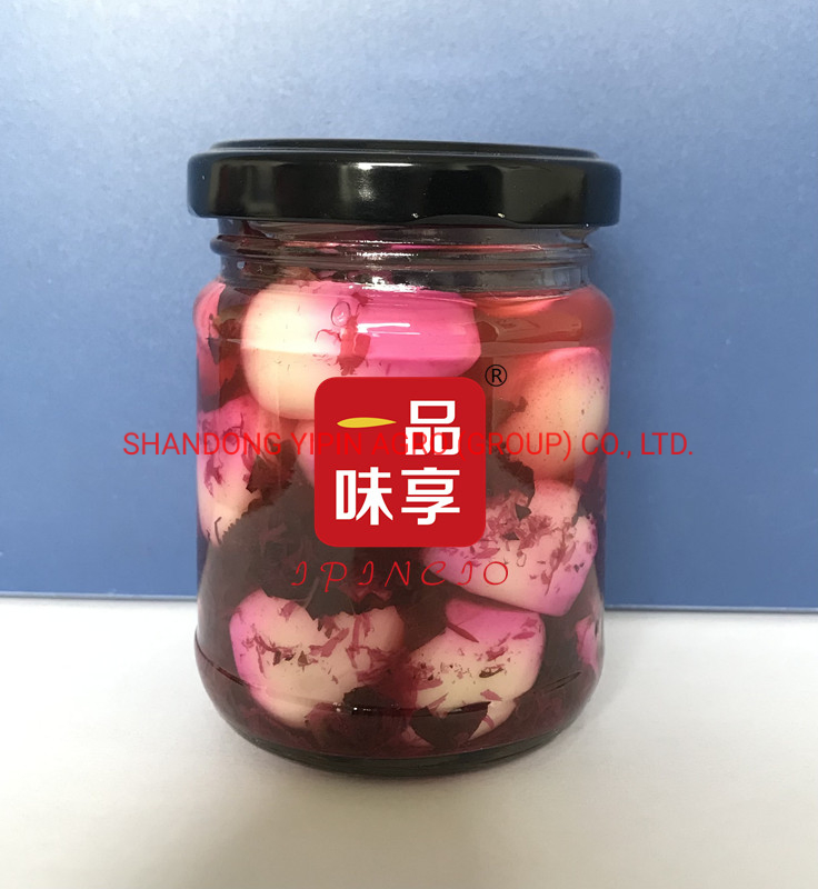 Pickled Garlic with Purple Perrila Canned Garlic