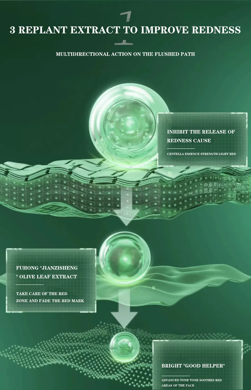 Facial Essence Ingredients