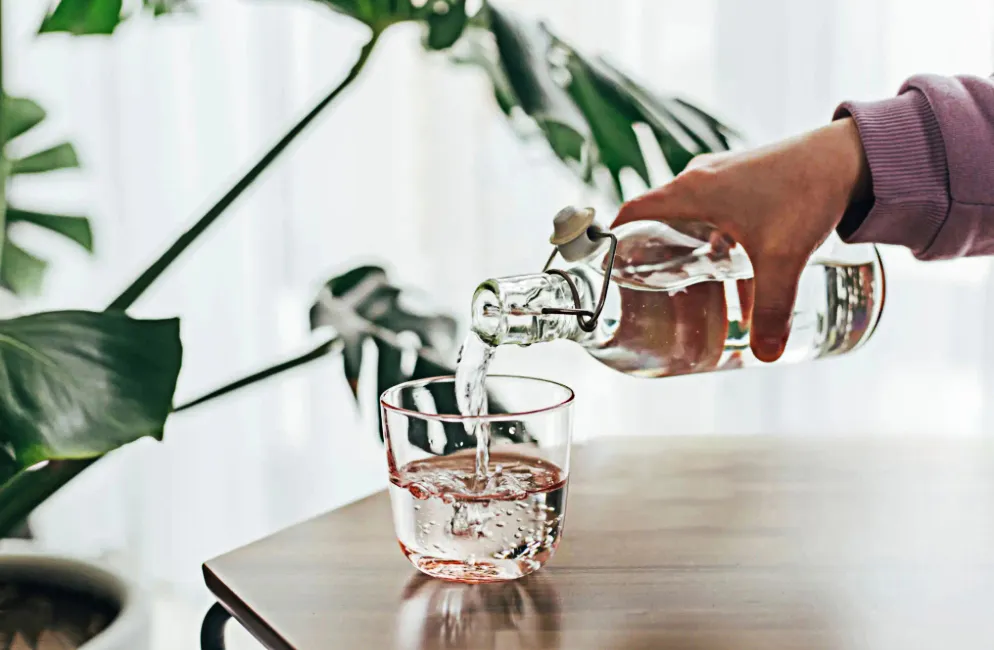 Elegant Clear & Colored Glass Water Bottle