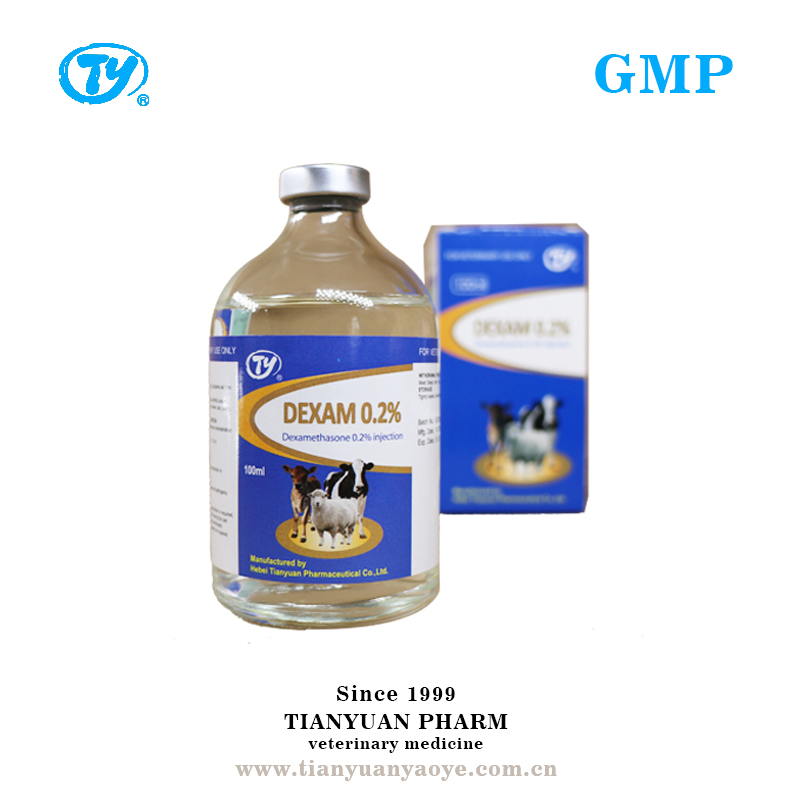 Dexamethasone Injection Veterinary Medicine for Animals